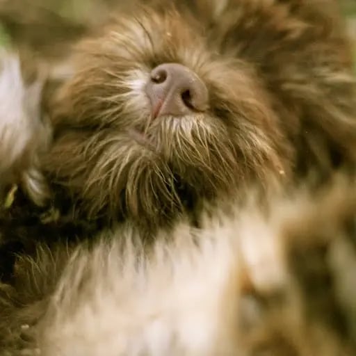 w8abit's profile picture