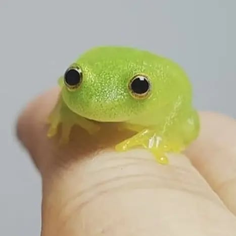 trinity's profile picture