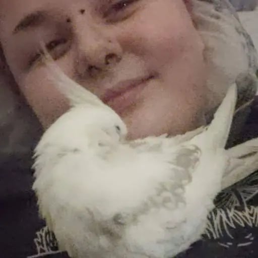 FfionM11's profile picture