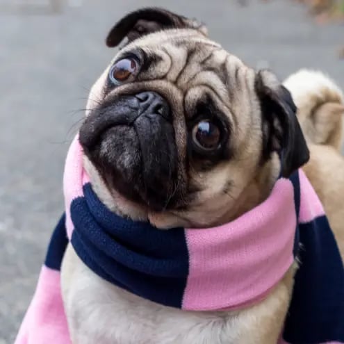 rahw's profile picture