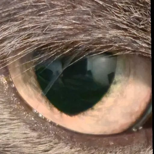 b1eiji's profile picture