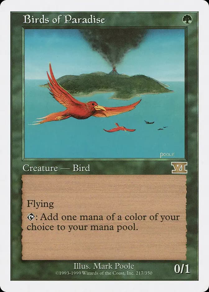 Card image of Birds of Paradise