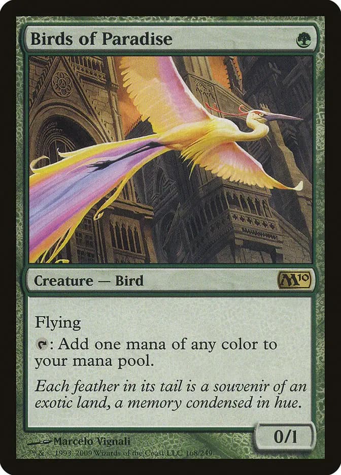 Card image of Birds of Paradise