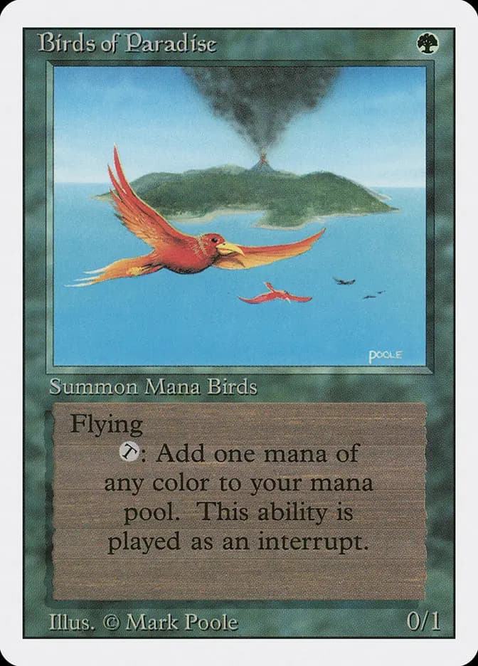 Card image of Birds of Paradise