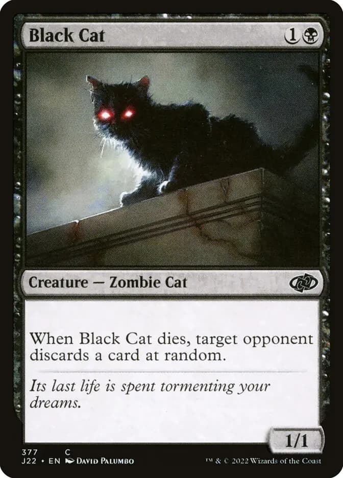 Card image of Black Cat