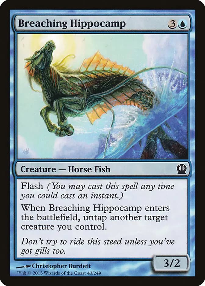 Card image of Breaching Hippocamp