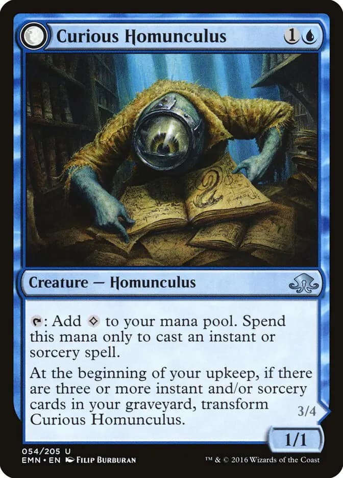 Card image of Curious Homunculus / Voracious Reader