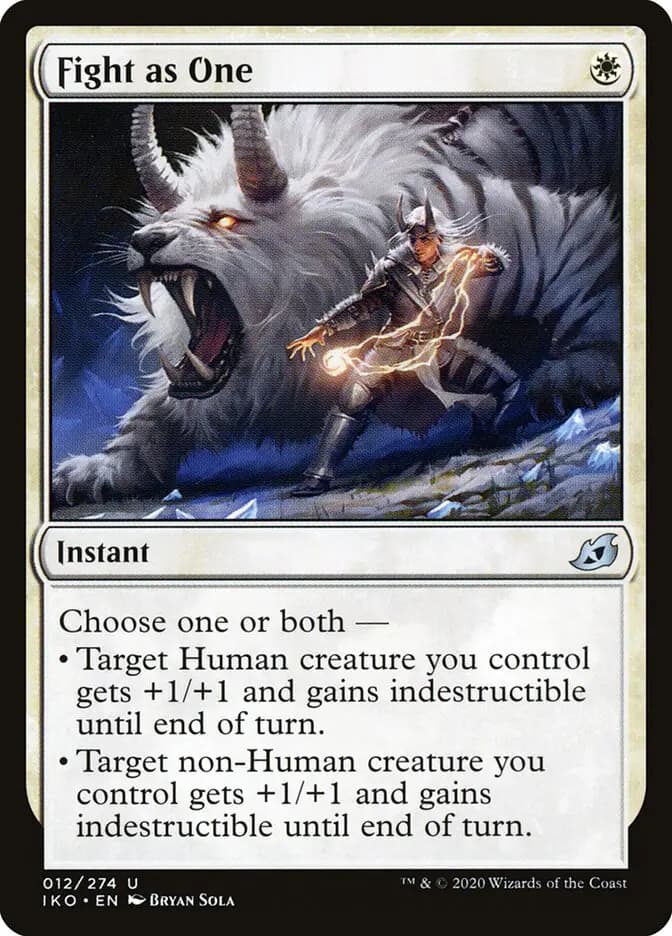 Card image of Fight as One
