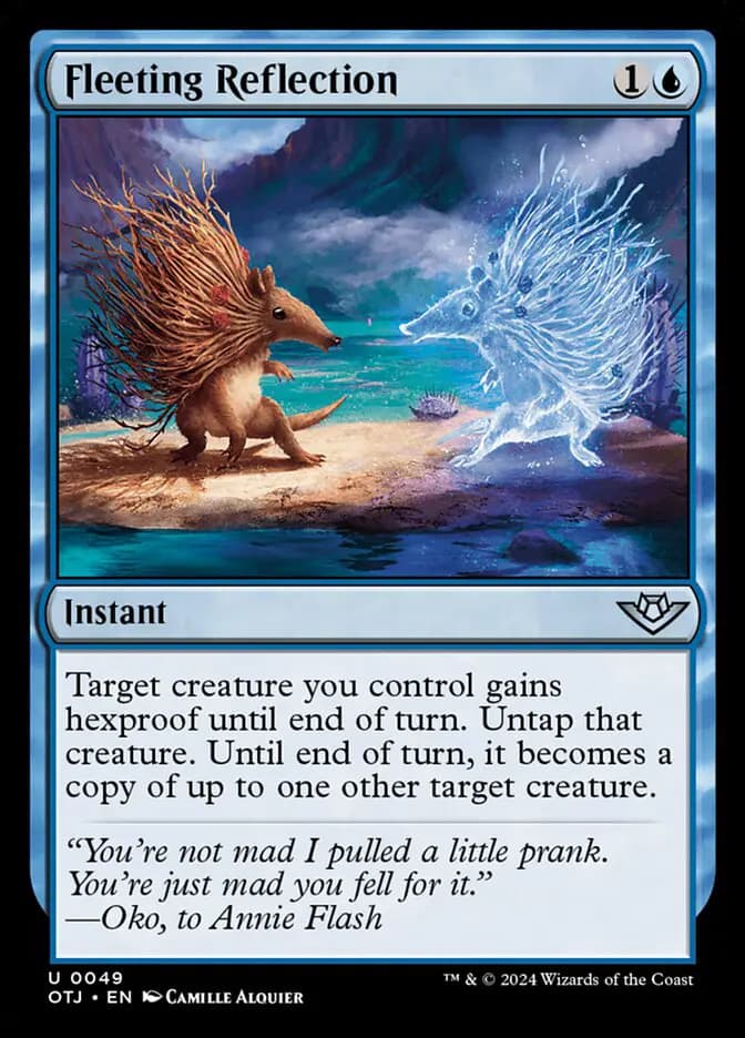 Card image of Fleeting Reflection