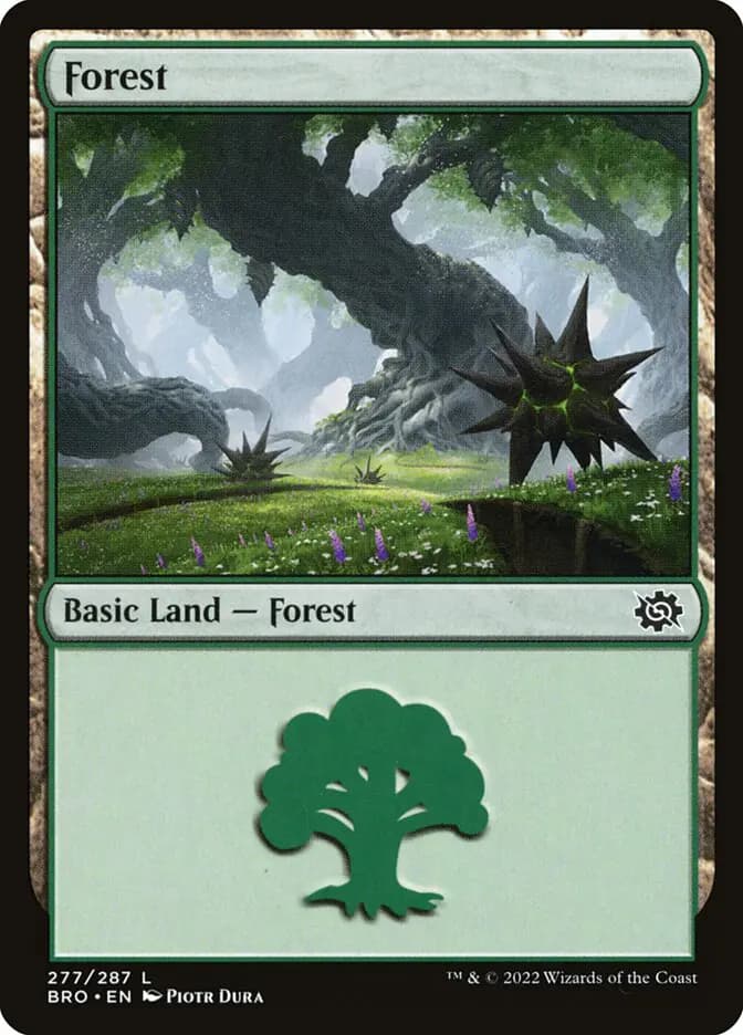 Card image of Forest