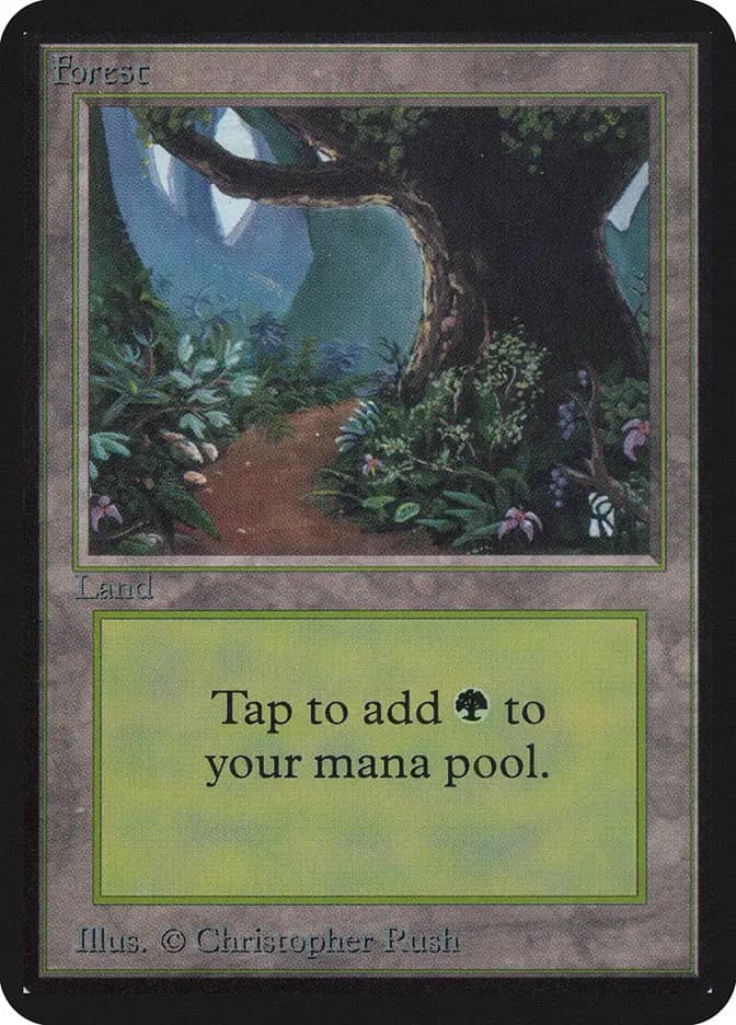 Card image of Forest
