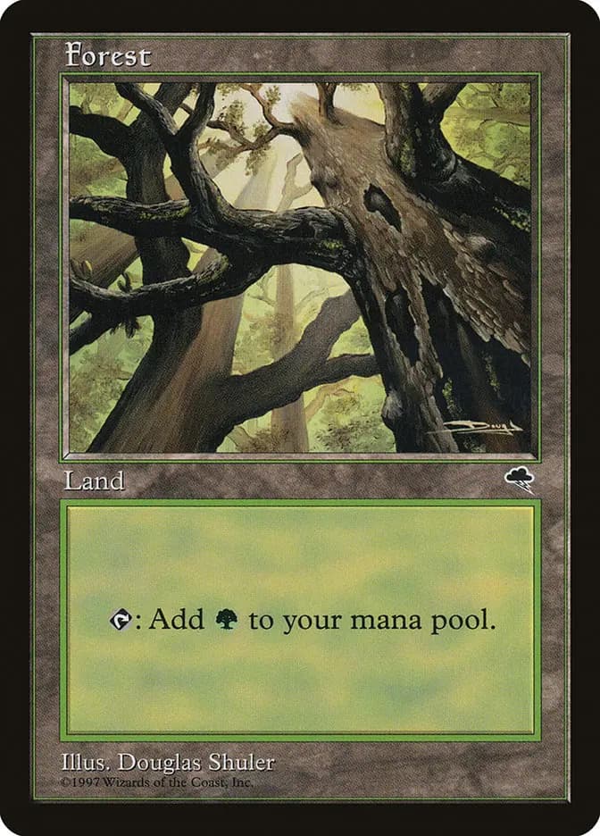 Card image of Forest