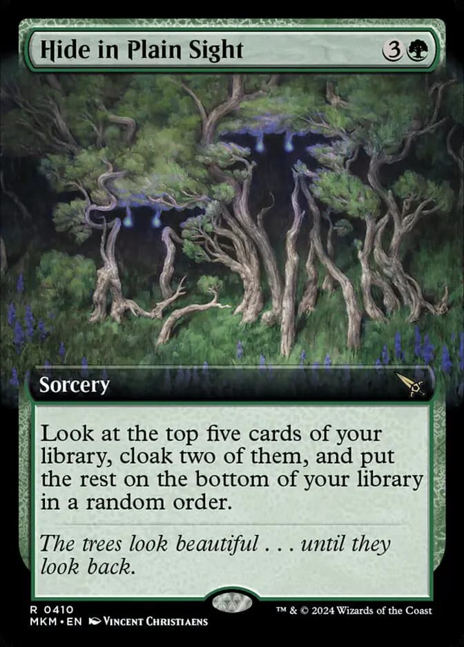 Card image of Hide in Plain Sight