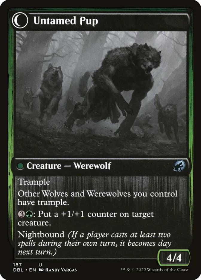 Card image of Hound Tamer / Untamed Pup