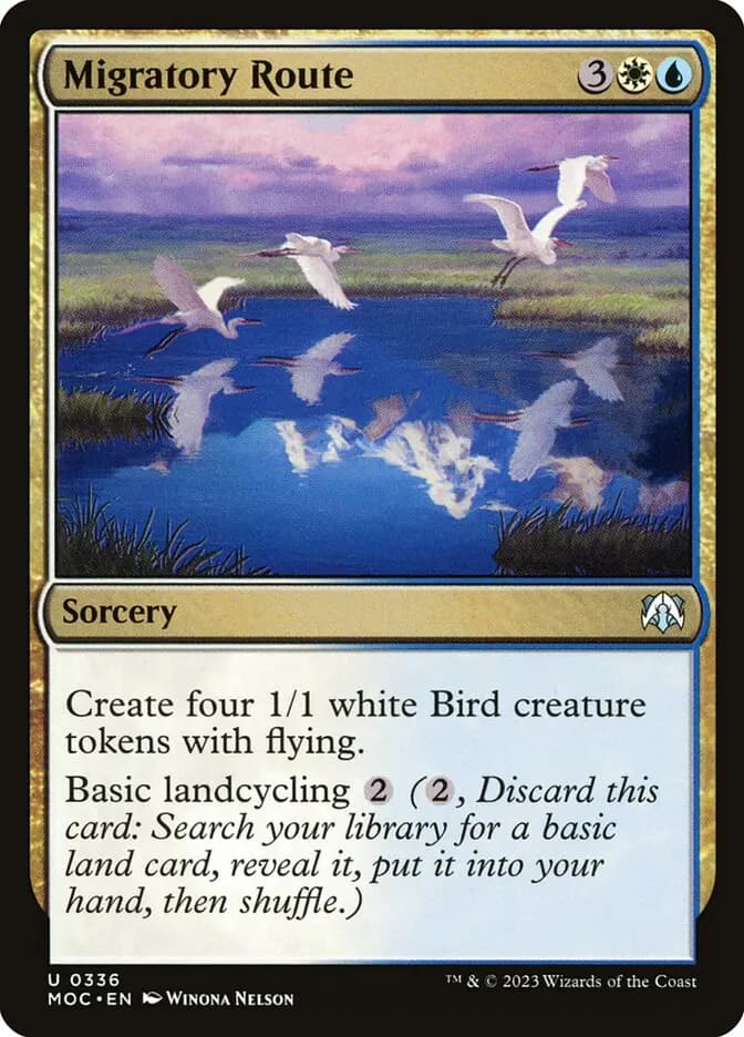Card image of Migratory Route