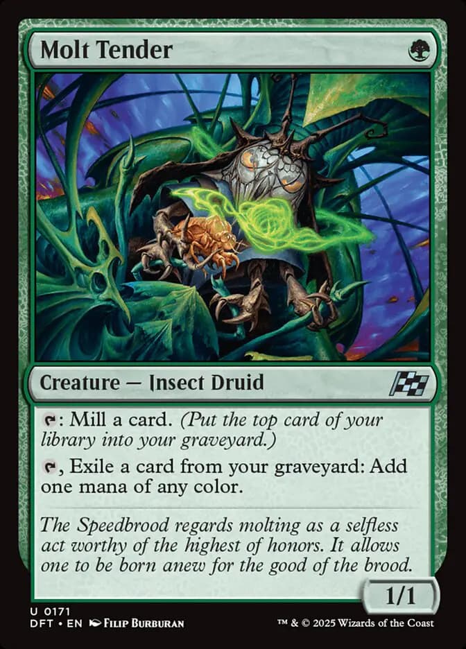 Card image of Molt Tender