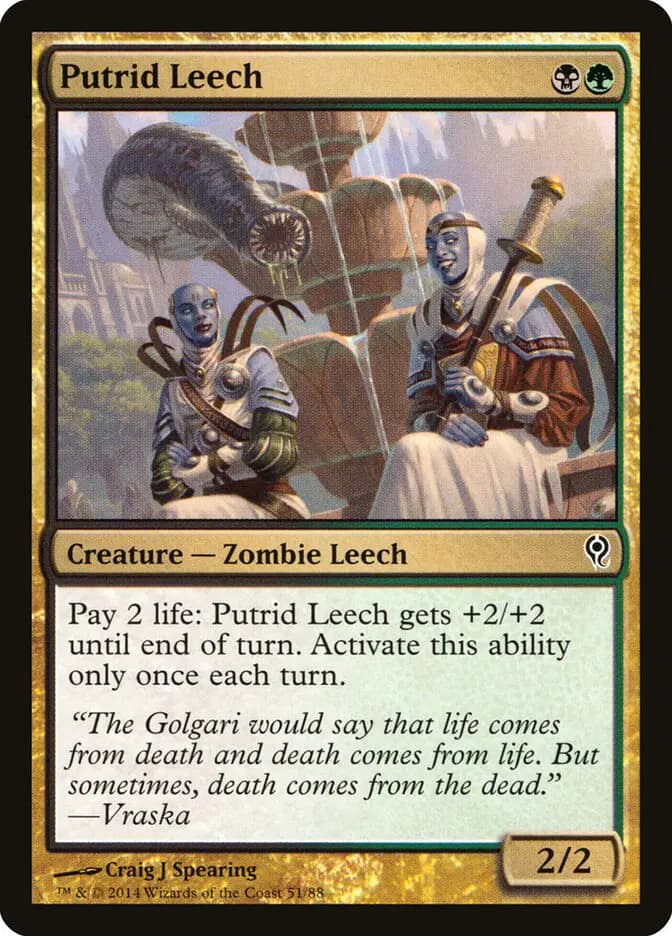 Card image of Putrid Leech