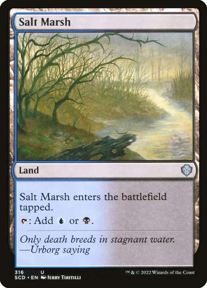 Card image of Salt Marsh