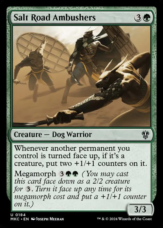 Card image of Salt Road Ambushers