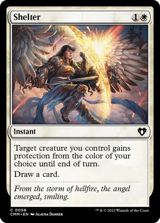 Card image of Shelter