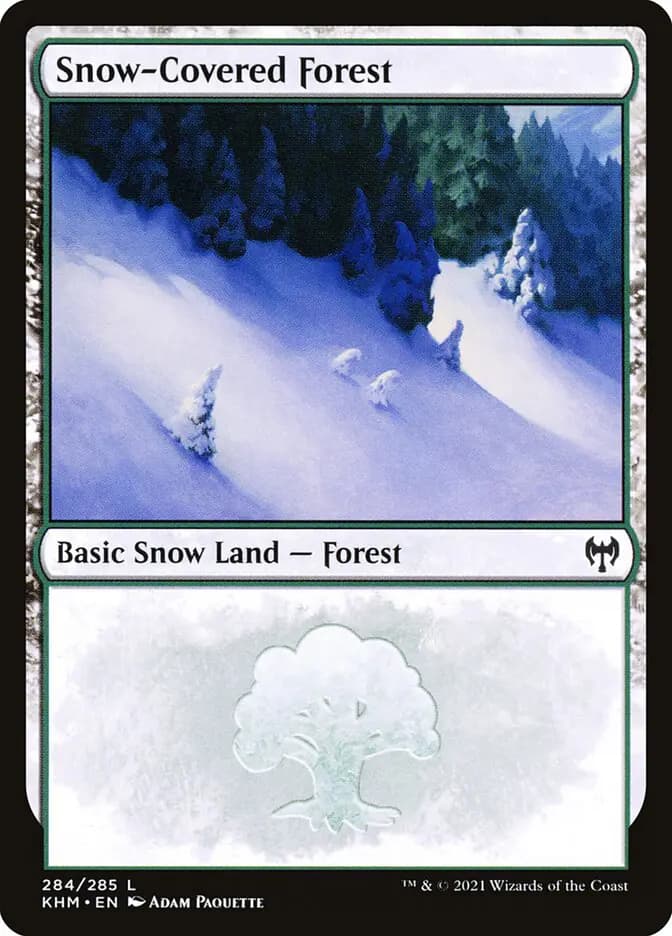 Card image of Snow-Covered Forest