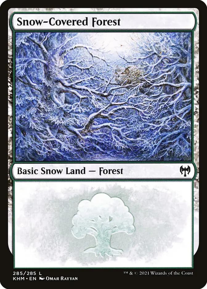 Card image of Snow-Covered Forest