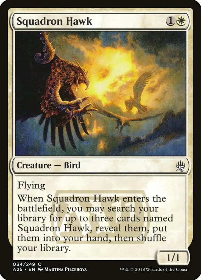 Card image of Squadron Hawk