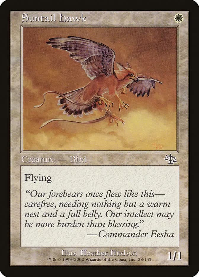 Card image of Suntail Hawk