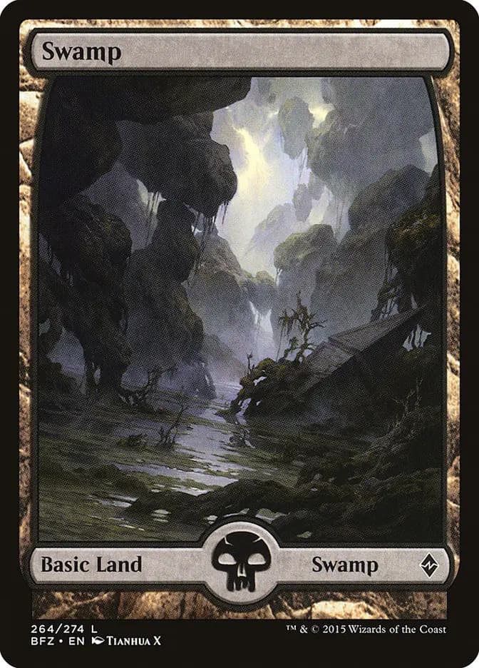 Card image of Swamp