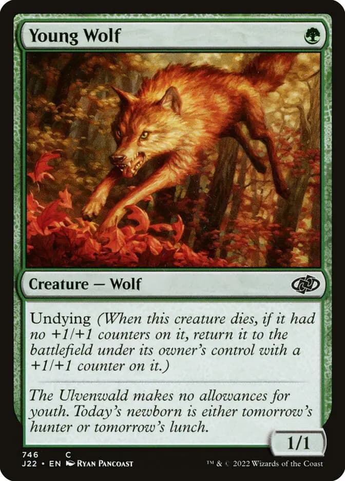 Card image of Young Wolf