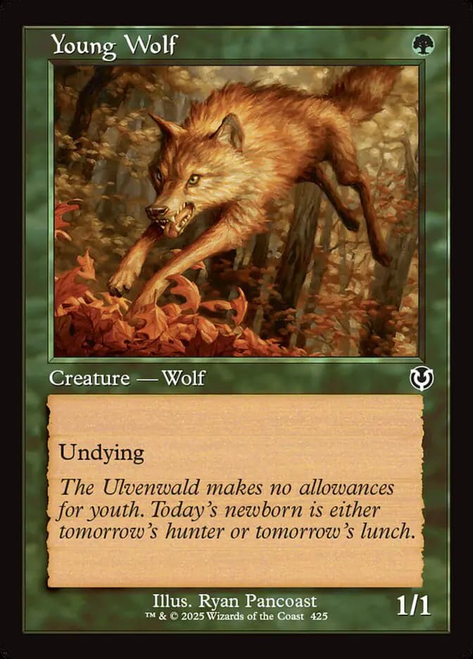 Card image of Young Wolf